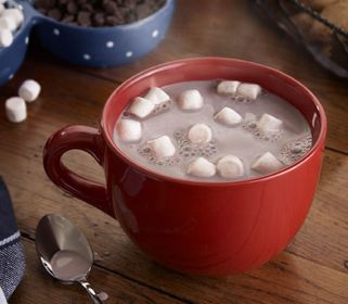 Hot Chocolate & Marshmallow Protein Drink