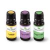 Lemon, Lavender, and Peppermint Essential Oil Set