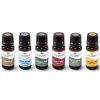 Wellness Singles and Blends Essential Oil Set