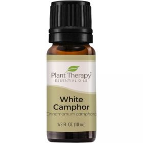 Camphor White Essential Oil (ml: 10ml)