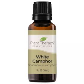 Camphor White Essential Oil (ml: 30ml)