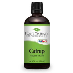Catnip Essential Oil (ml: 100ml)