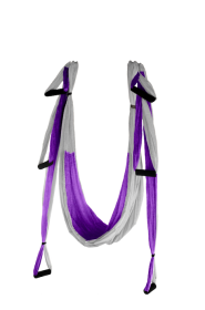 Gravotonics Yoga Swing (Color: Silver / Purple)