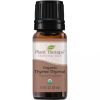 Organic Thyme Thymol Essential Oil