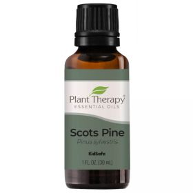 Scots Pine Essential Oil (ml: 30ml)