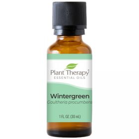 Wintergreen Essential Oil (ml: 30ml)